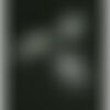 Ae11494 lot de 4 estampes pendentif filigrane aloe en pot graphique 13 par 23mm coloris blanc
