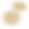 Kj113140 lot de 2 estampes pendentif filigrane cercle 31mm coloris doré