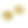 Bu11210427092756 pax 2 pendentifs, poisson dans médaillon 10 mm acier inoxydable couleur doré