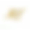 S11760670 pax 1 pendentif galaxie, etoile 29 mm acier inoxydable coloris doré