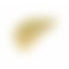 Ps11760784  pax 1 pendentif tranche de pastèque 29 mm, acier inoxydable coloris doré