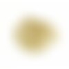 Ps11760814 pax 1 pendentif coquillage 22 mm,  acier inoxydable coloris doré