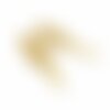 Ps11846820 pax 1 pendentif - oiseau perroquet 40mm - doré en acier inoxydable  - pour bijoux raffinés