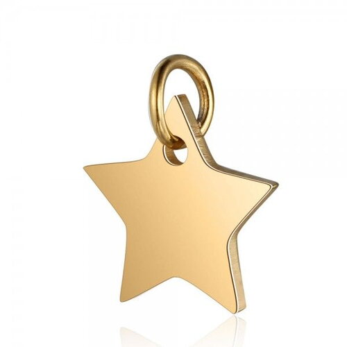 Bu11191207173342 lot 2 pendentifs  avec anneau- étoile- 10 mm - doré en acier inoxydable  - pour bijoux raffinés ref 20
