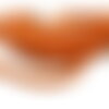 Hq024001g lot de 19 cm perles nacre véritable heishi rondelles 6mm coloris orange