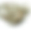 Bu11210412153233a lot 1/2 fil d'environ 18 cm environ 25 perles rondes 8mm labradorite beige
