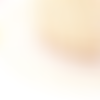 H11z003 lot de 2 mètres de cordon tressé et fil métallisé doré 1.5mm coloris c09