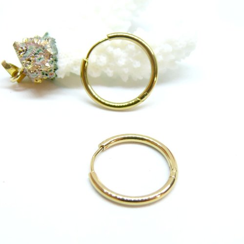 H11p177g12 – lot de 2 créoles rondes 24 par 2 mm – acier inoxydable 304 doré à l’or fin 18k – finition ionique