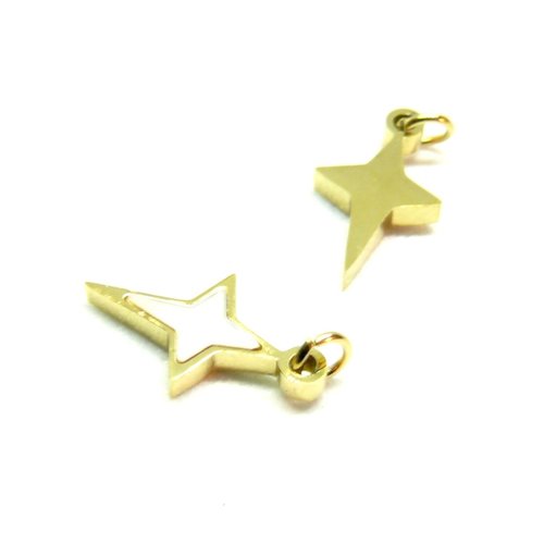 H11n097-189 – lot de 1 pendentif étoile 11mm – acier inoxydable 304 doré placage ionique & nacre
