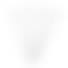 H11r04530 pax 50 tiges oeil 30 mm, acier inoxydable 304 finition argent