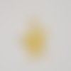 Pendentif doré étoile de mer de 53 x 45 mm
