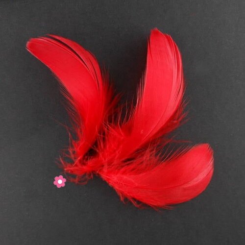 X20 plumes d'oie rouge  4 à 10cm
