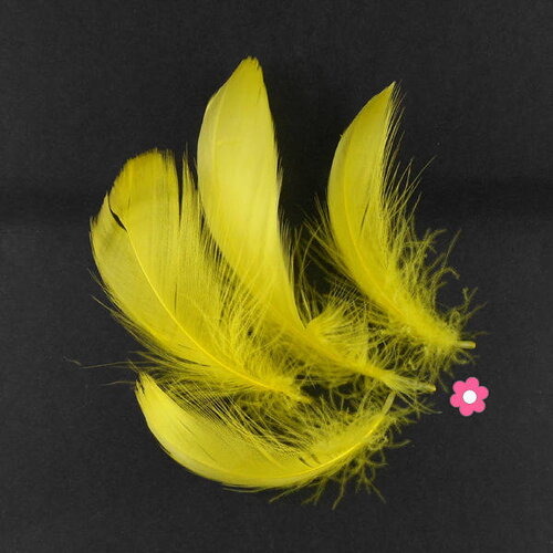 X20 plumes d'oie jaune 4 à 10cm  (64f)
