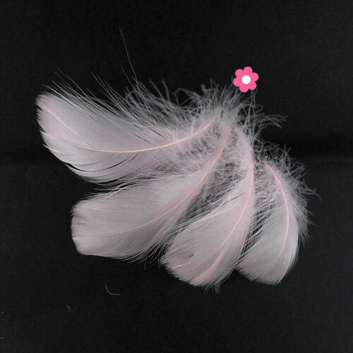X20 plumes d'oie rose  pale 4 à 10cm (66f)