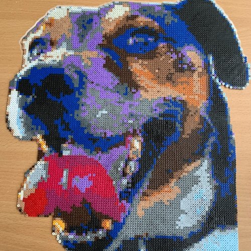 Portrait personnalisé de votre animal – création en perles à repasser