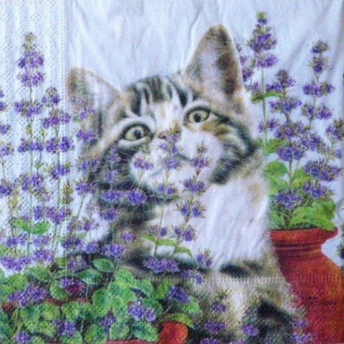 1 serviette en papier chats dans les fleurs - ref 03