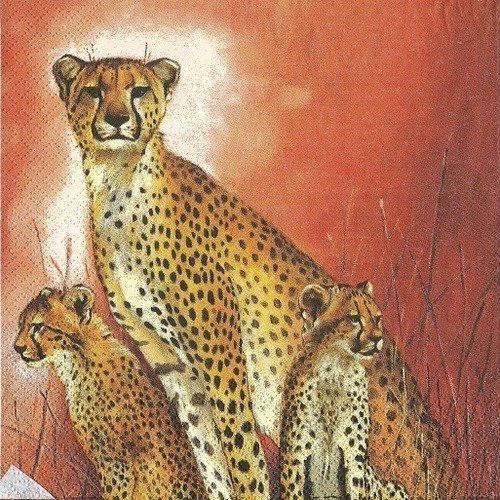1 serviette en papier afrique - léopard - ref 172