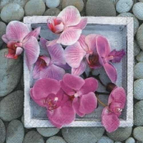 1 serviette en papier fleurs - orchidées - ref 273
