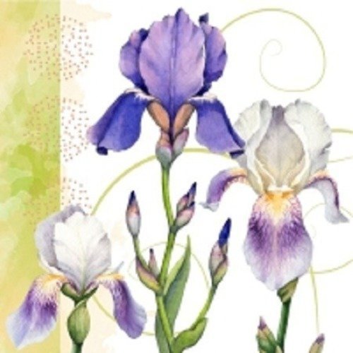 1 serviette en papier fleurs iris - ref 380
