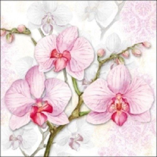 1 serviette en papier fleurs - orchidées - ref 423