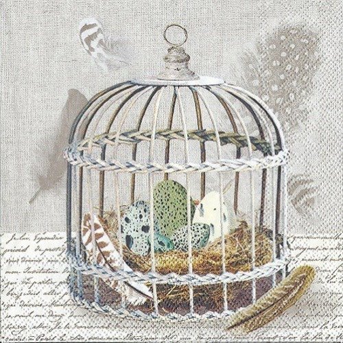1 serviette en papier cage oiseaux - plumes - œufs - shabby - ref 469