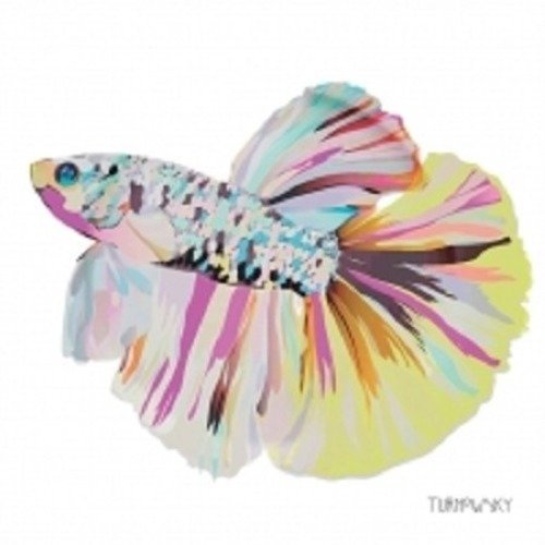 1 serviette en papier poisson multicolore - ref 558