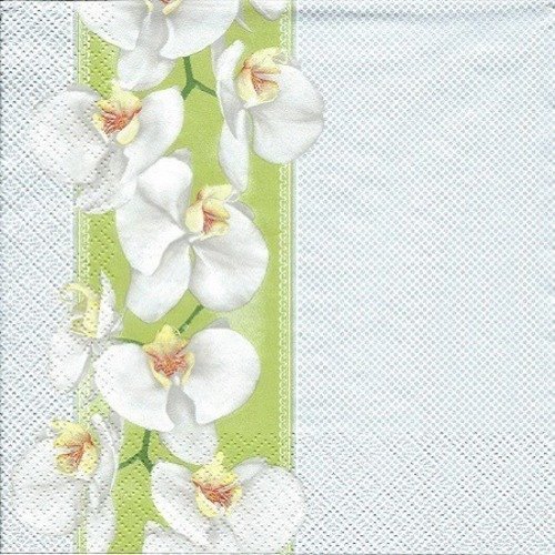 1 serviette en papier orchidées - fleurs - ref 651