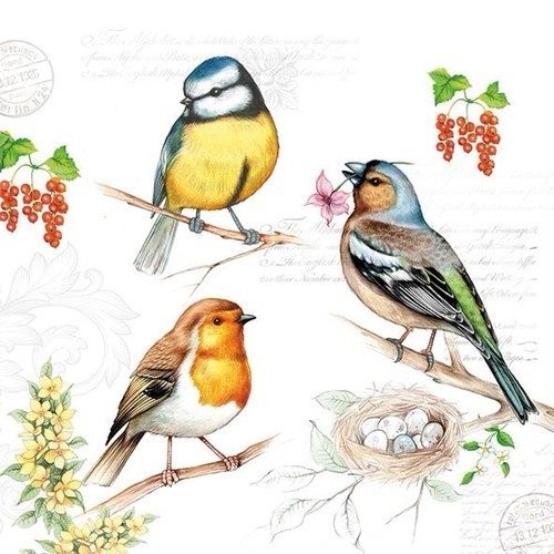 1 serviette en papier oiseaux - ref 939