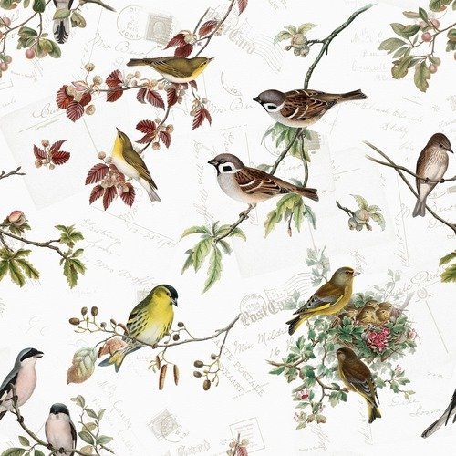 1 serviette en papier oiseaux - ref 994