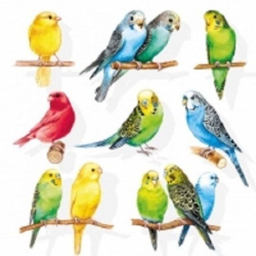 1 serviette en papier oiseaux - ara - perroquet - ref 1068
