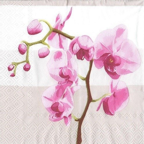 1 serviette en papier orchidées - fleurs - ref 1339