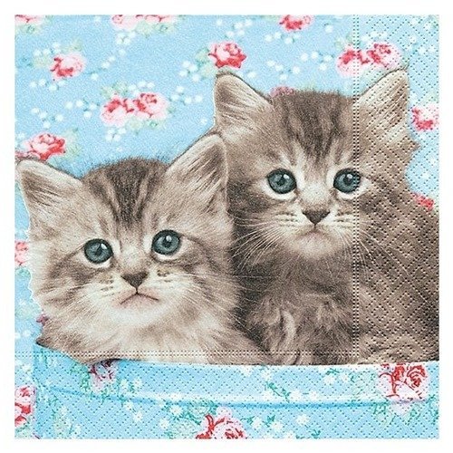1 serviette en papier chat romeo & julia - ref 1359