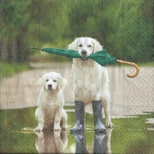 1 serviette en papier chien parapluie - ref 1142