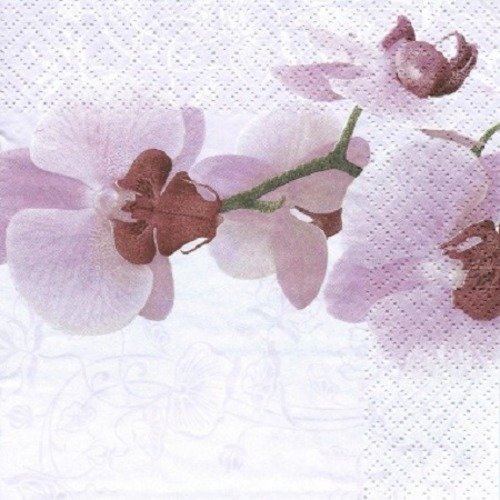 1 serviette en papier orchidée - fleurs  - ref 1158