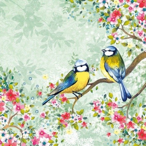 1 serviette en papier oiseaux - mésange - ref 1176