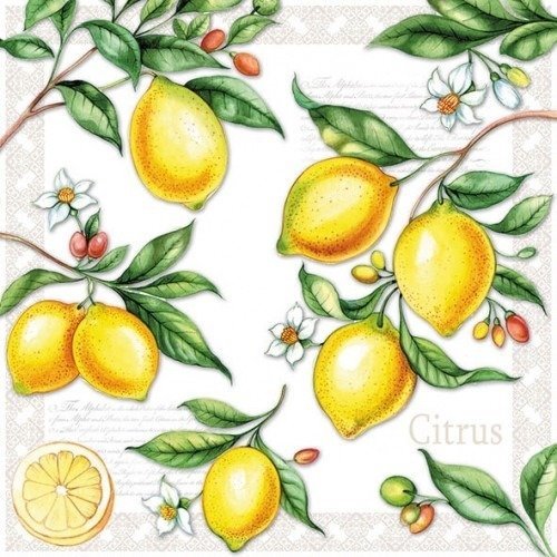 1 serviette en papier citron - ref 1189