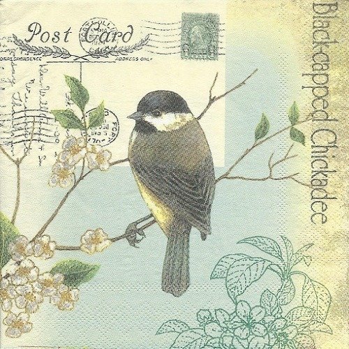 1 serviette en papier oiseaux - fleurs - ref 1423