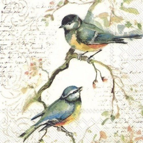 1 serviette en papier oiseaux  - 25 x 25 cm - pm06