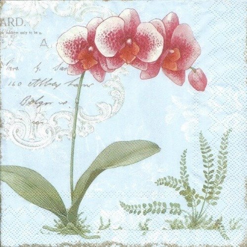1 serviette en papier orchidées - fleurs - fond bleu -  ref  1541