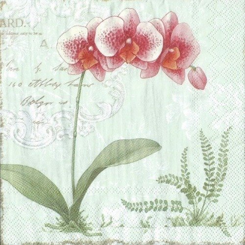 1 serviette en papier orchidées - fleurs - fond vert -  ref  1542