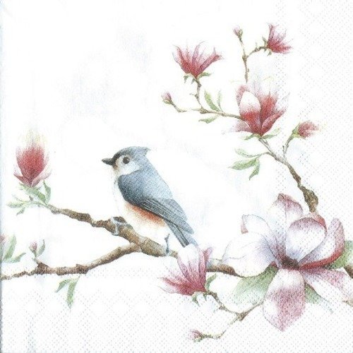 1 serviette en papier oiseaux - magnolia fond blanc - ref 1552