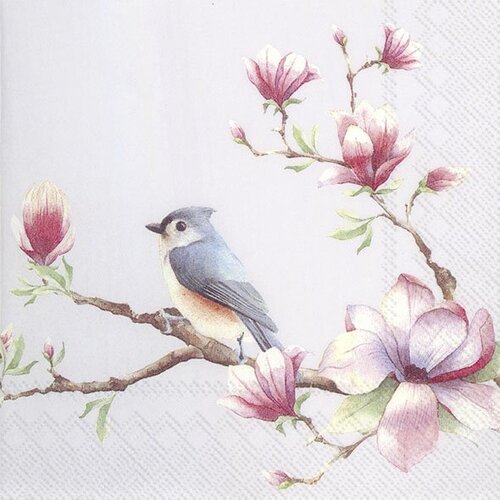 1 serviette en papier oiseaux sur la branche de magnolia - ref 1583