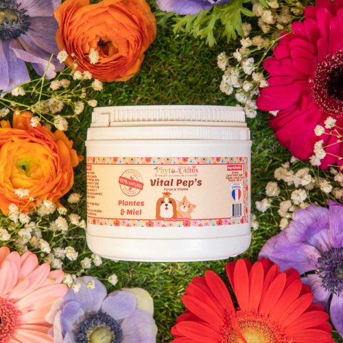 Vermifuge poudre 100% naturel pour chien & chat