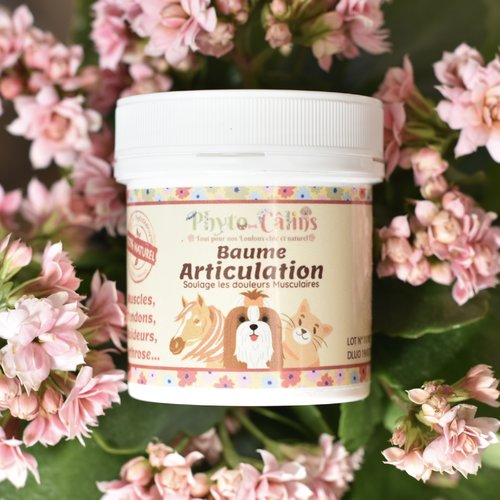 Baume anti-inflammatoire, soulage l'arthrose, 100% naturel pour chien & chat