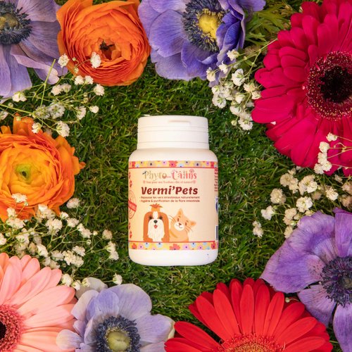 Vermifuge gélules chiens et chats 100% naturel phytothérapie