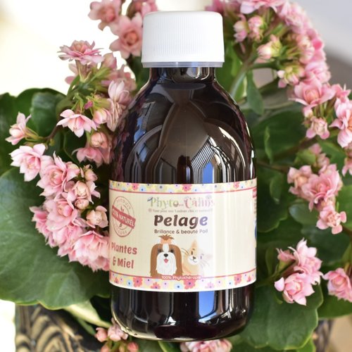 Complément alimentaire pour pelage terne pour chien et chat, 100% naturel phytoterapie