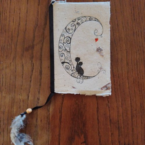 Carnet chat lune