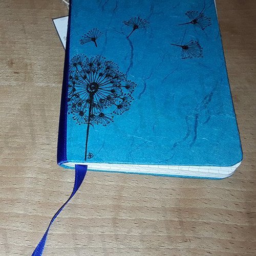 Carnet bleu pissenlit