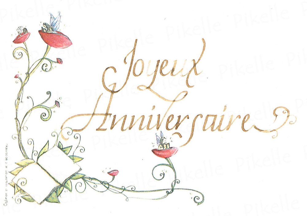 Carte Minimo Fee Livre Joyeux Anniversaire Un Grand Marche