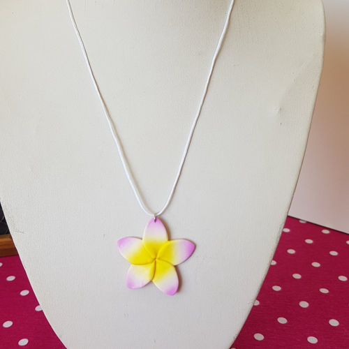 Collier monoï teinté